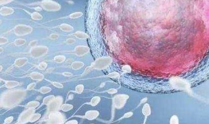 色弱男性可以通过试管婴儿技术助孕