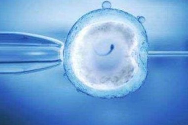 做试管婴儿的详细花费是什么？